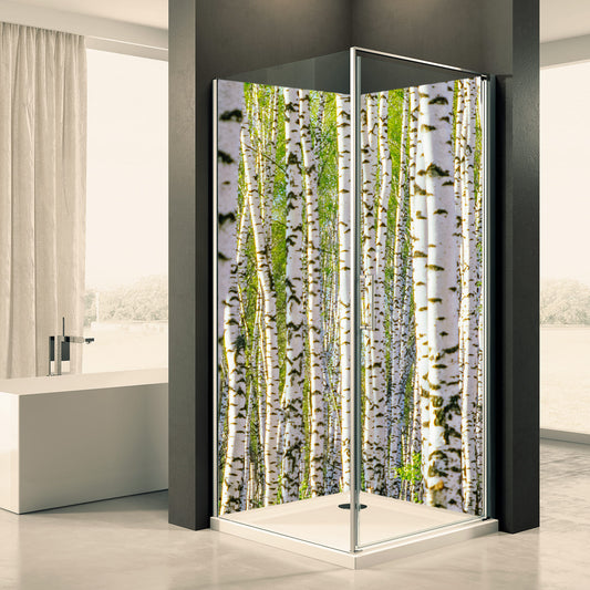 Shower back wall birch forest motif 0137