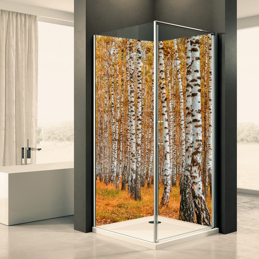 Shower back wall birch forest autumn motif 0138