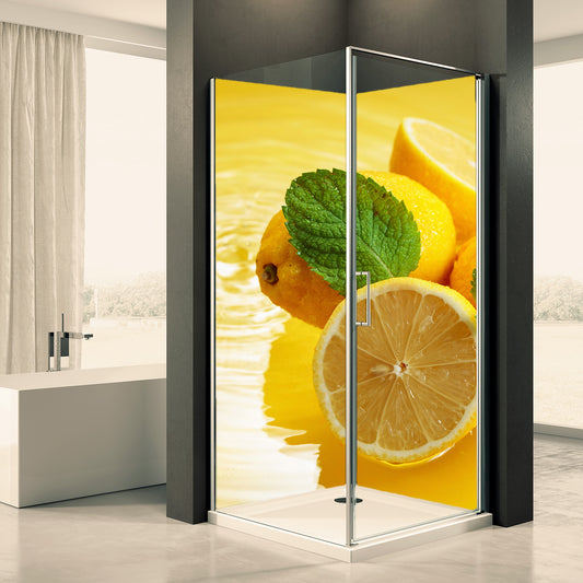 Doucheachterwand Aken Dommotief 0032