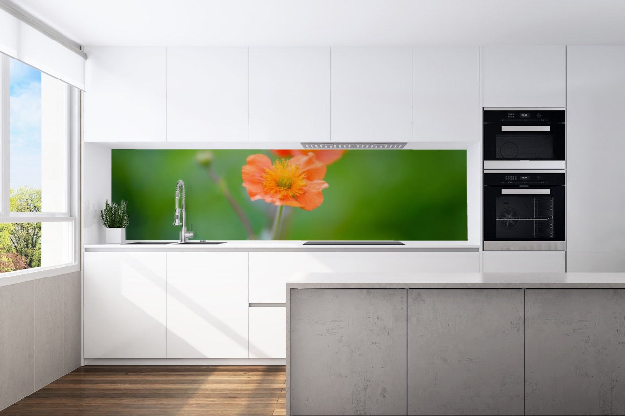 Kitchen back wall Anemone motif 0024