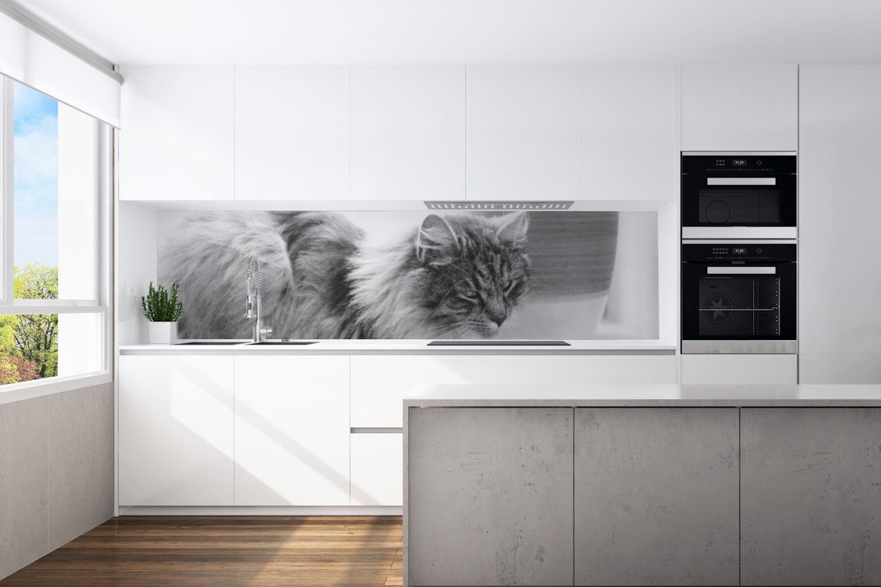 Kitchen back wall cat 3 motif 0087