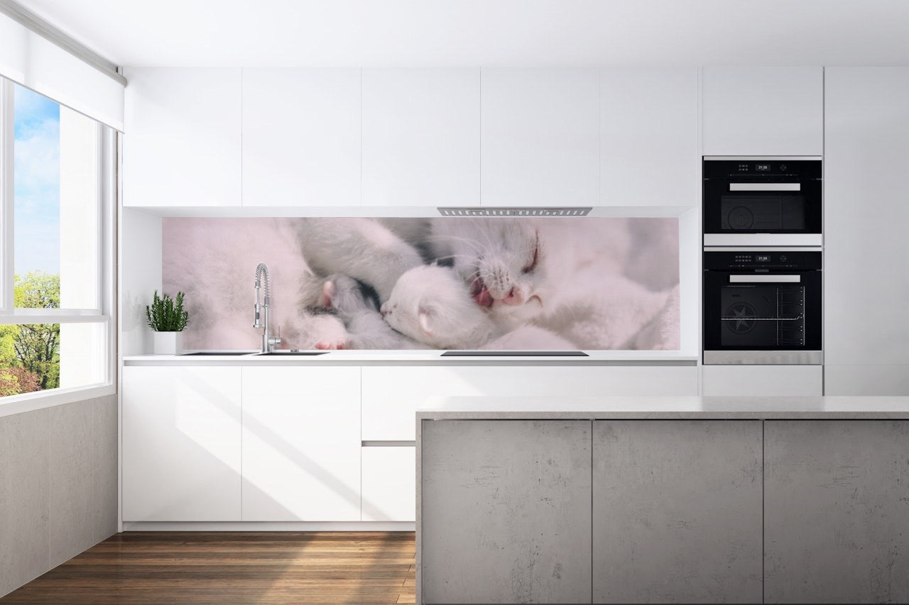 Kitchen back wall cat 5 motif 0089