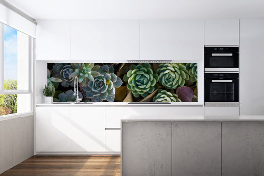 Kitchen back wall succulent motif 0091