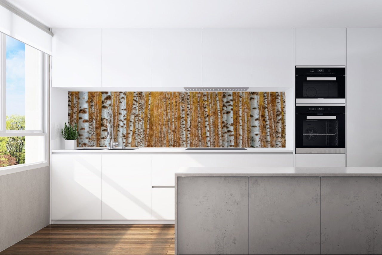 Kitchen back wall birch forest autumn motif 0138